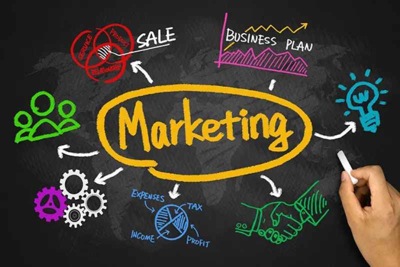 Marketing Insight: Hiểu Xu Hướng Để Thúc Đẩy Kết Quả