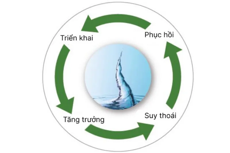 Chiến lược kinh doanh- Giai đoạn 1.4: Bốn giai đoạn của chu kỳ kinh doanh